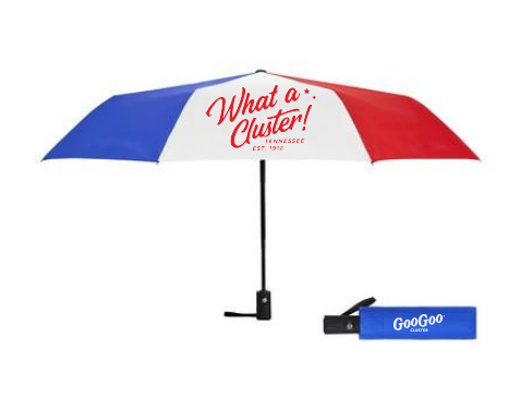Tricolor WAC Umbrella