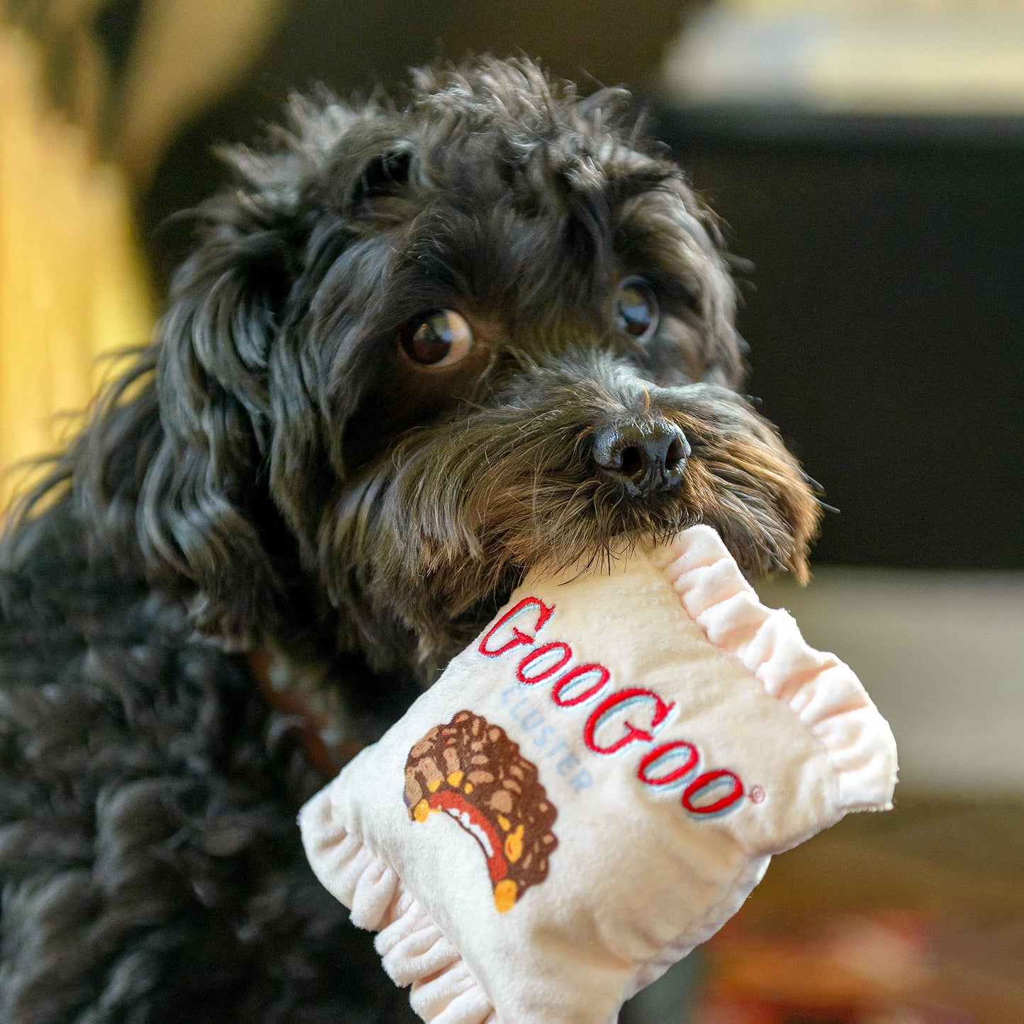 Goo Goo Wrapper Dog Toy